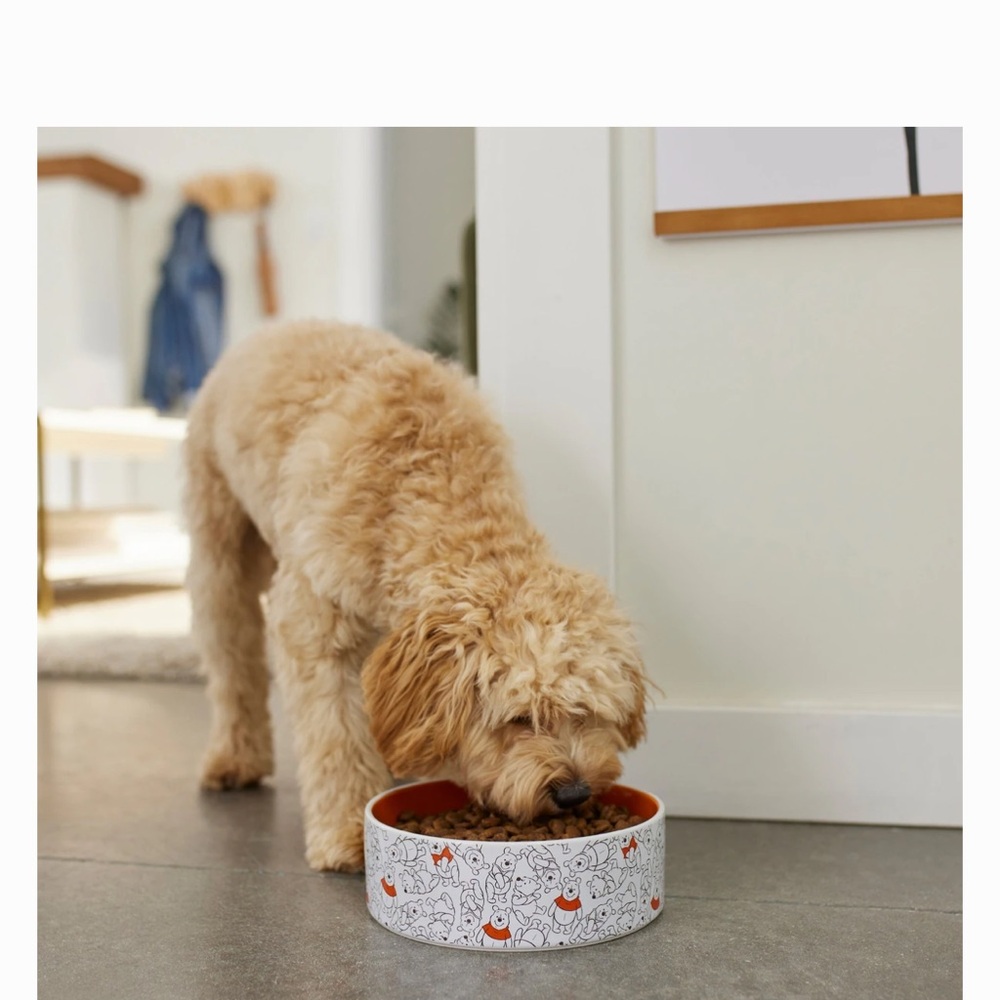 Winnie The Pooh Ceramic Dog Bowl 8 Cups‎